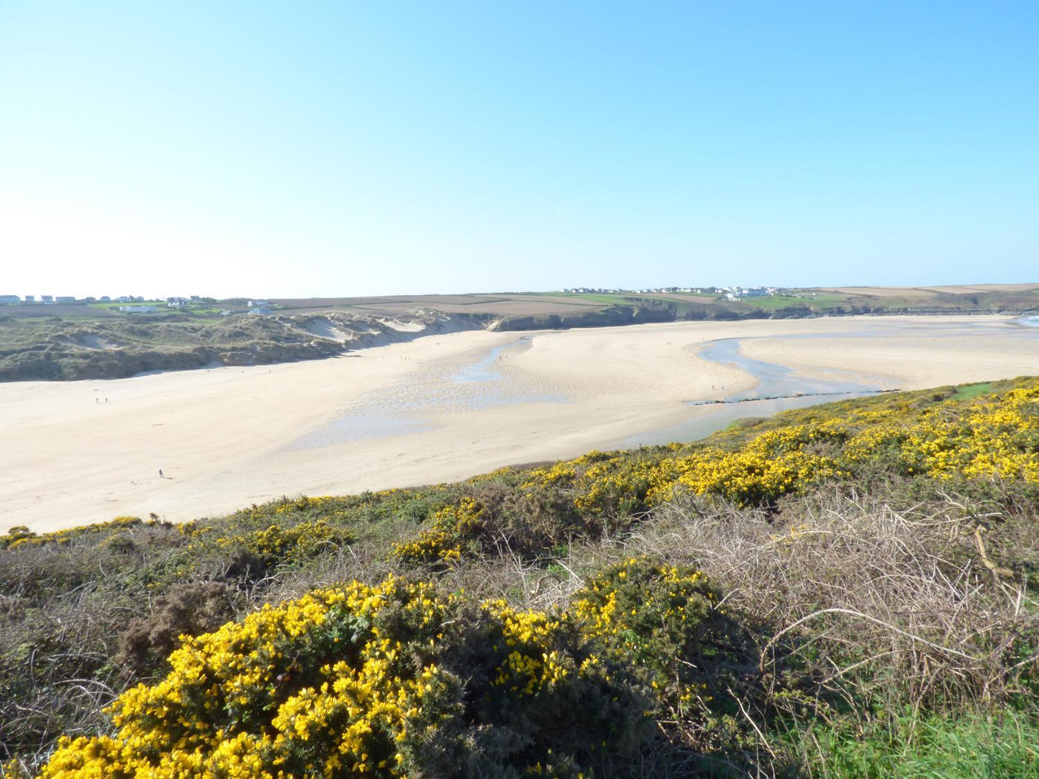 Fistral Breeze Βίλα New Quay Εξωτερικό φωτογραφία